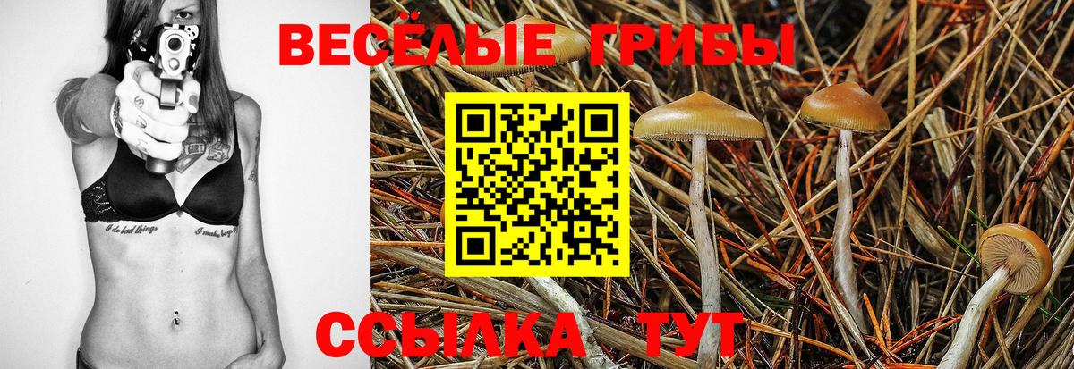 Галлюциногенные грибы прущие грибы Лысьва